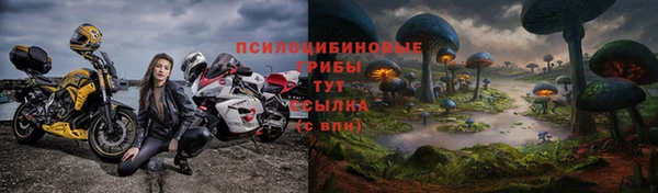 гидра Алзамай