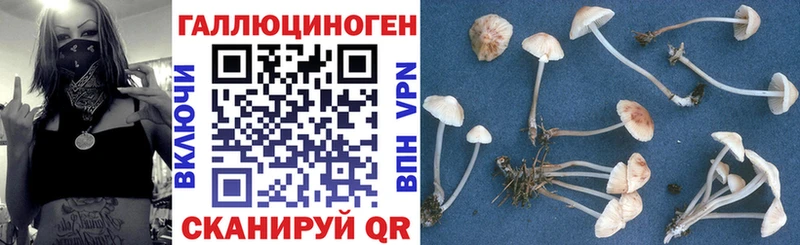Галлюциногенные грибы мухоморы  дарнет шоп  Бронницы 
